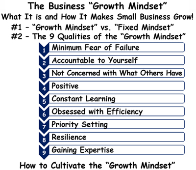 The Business Growth Mindset&##x3a;&nbsp;