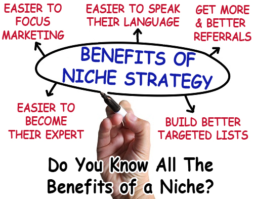 The Formula For Finding Your Ideal Niche -