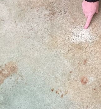 Don&##x27;t Waste Time Treating a Spot Like a Stain&##x21;