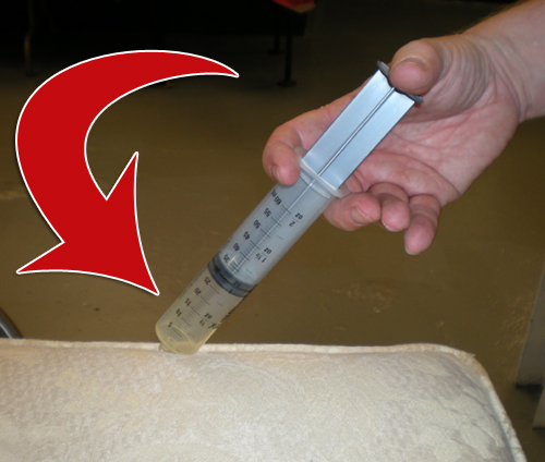 Six Critical Steps For Successful Odor Treatment on Upholstery