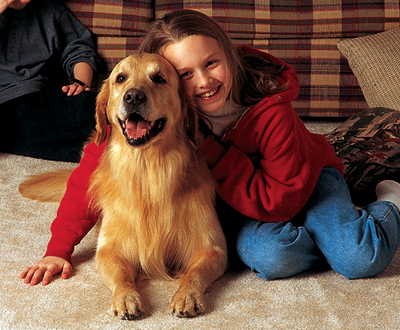 You Cleaned My Couch Yesterday. Now My Dog Has A Rash