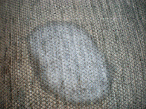 You BLEACHED My Furniture&##x21;&##x21;&##x21;