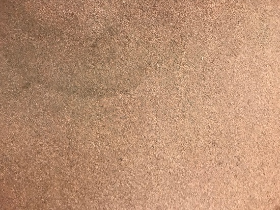 THIS CARPET LOOKED GREAT UNTIL IT DRIED&##x21;