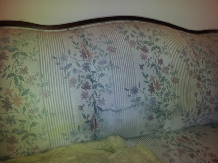 Three Good Reasons Not To Clean Upholstery with Carpet Cleaning Products&##x21;