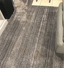 Wall to Wall Carpet Made from Paper&##x3f;