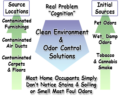 Most Home Occupants Simply Don