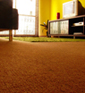 Carpet Repair Basics II