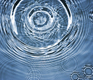 Important Trends Affecting Your Small Business