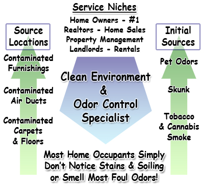 Millennials Seek Clean, Safe Home Environment & Odor Solutions