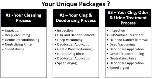 How to Grow Your Sales by &##xd;&##xa;Packaging Your Specialty Cleaning Services&##x21;